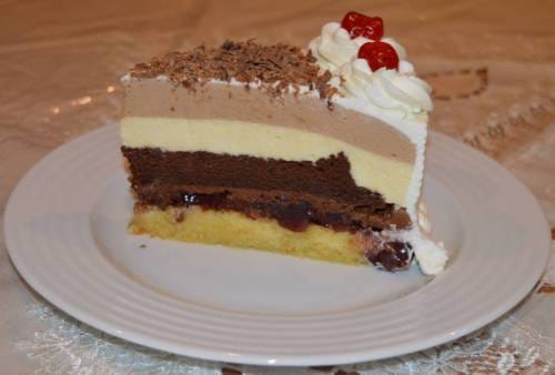 Cherry Forest Slice